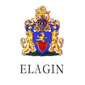 Елагин
