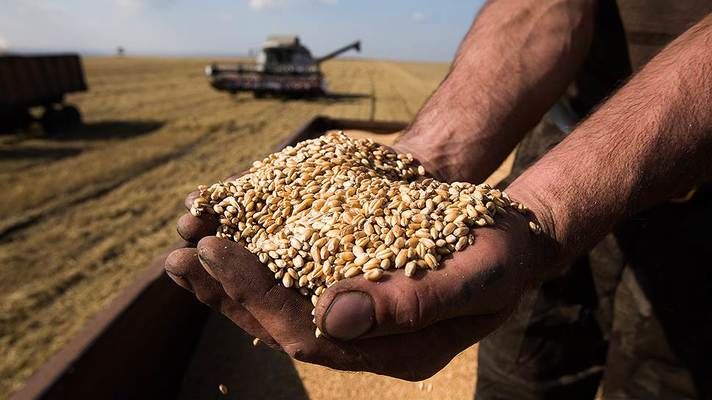 Украинское зерно планируют переправлять речным транспортом