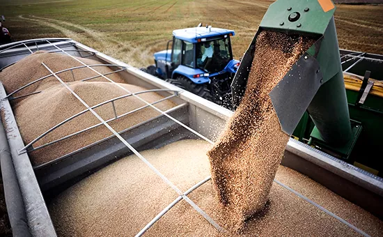 За девять месяцев Казахстан экспортировал около 6 млн. тонн зерна