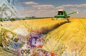 Уряд планує спростити процедуру отримання аграрної розписки