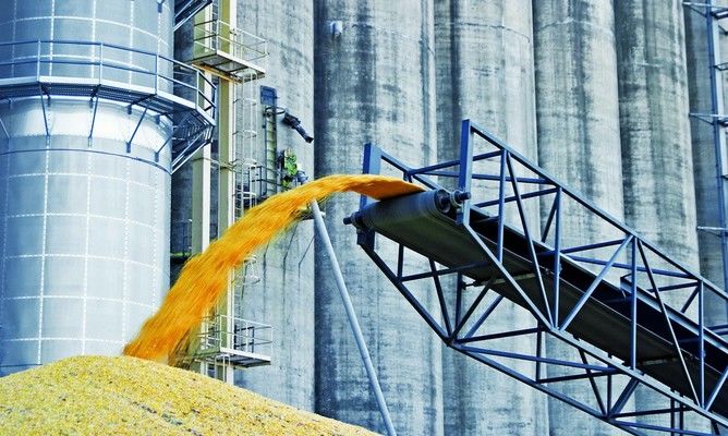 Компания «НИБУЛОН» — рекордсмен по экспорту зерна