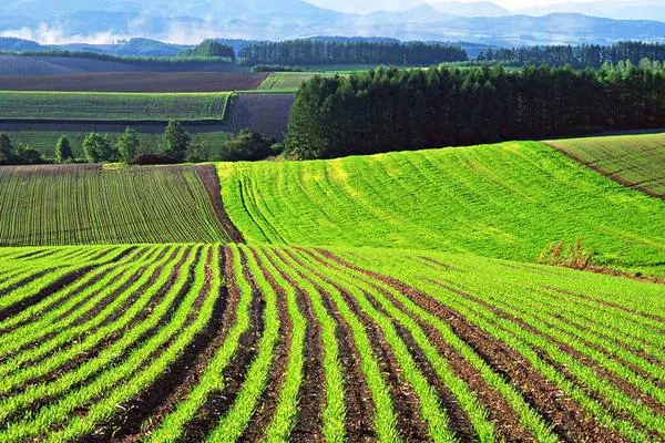 Всего в Украине зафиксировано более 46 тыс. фермерств