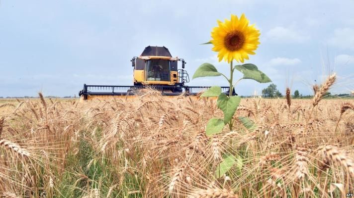 На підтримку агросектору планують залишити 1% ВВП