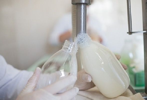Украина может отказаться от производства молока второго сорта