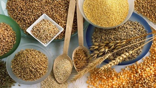 Количество экспортируемого зерна достигло отметки 16 млн т