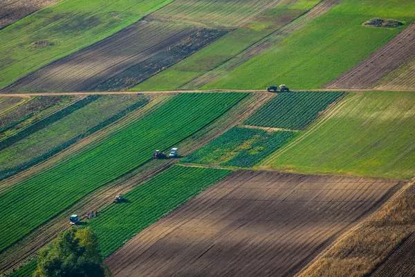 Ціна оренди землі в Україні: рейтинг по областях