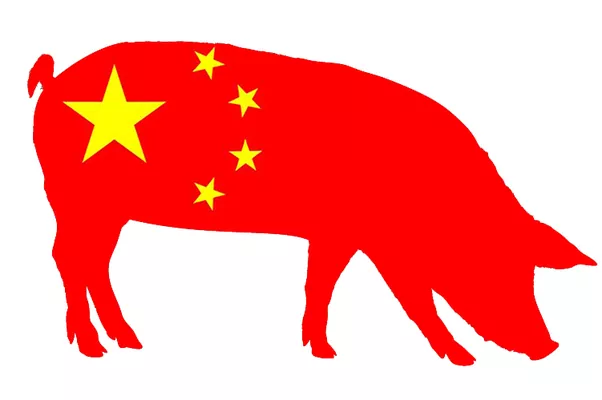 Африканська свиняча лихоманка (ASF) вийшла з-під контролю у Китаї