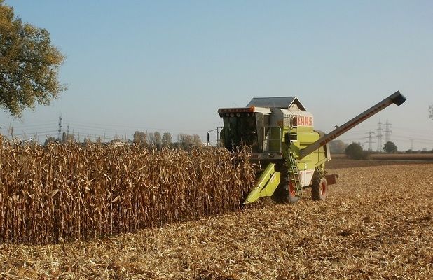 Урожай зерна в Украине достигнет рекордных 71,8 млн тонн