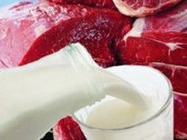 25% акцій м’ясо-молочного комплексу «Сіверський» знову виставлять на аукціон