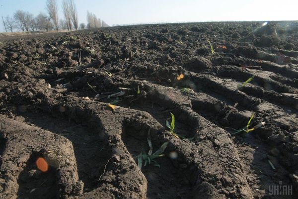 Підсумки опитування ОТГ про ринок землі