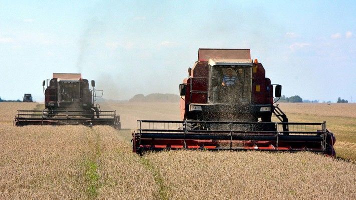 У Полтавському регіоні намолочено зерна понад 5 млн тонн