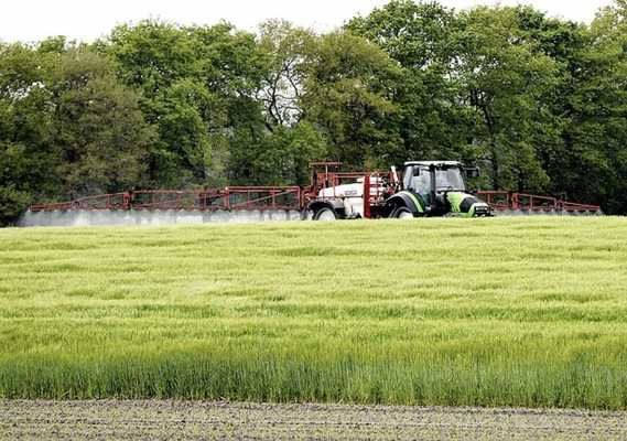 Проєкт закону про ввезення пестицидів та агрохімікатів в Україну схвалено