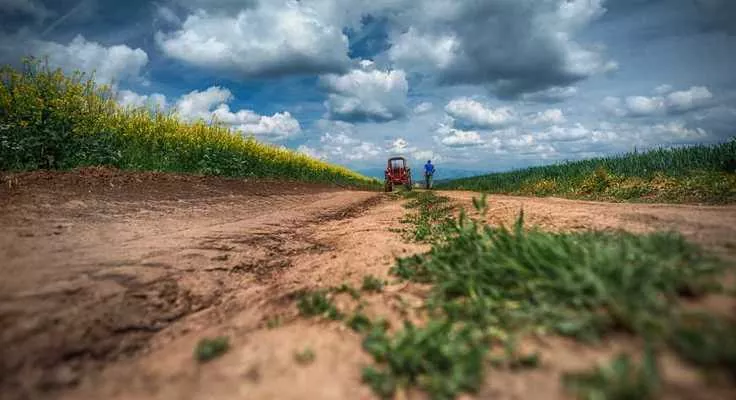 В Україні діє незаконний ринок сільгоспугідь – Висоцький