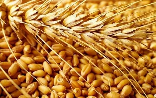 В Украине немного упали цены на пшеницу (12,5%)