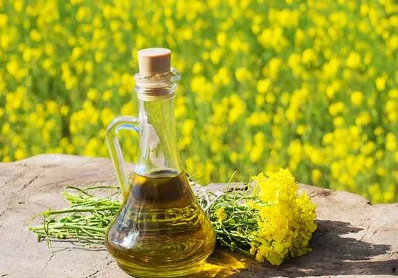 В компании ViOil выпускают около трети рапсового масла в Украине