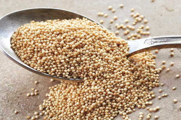 В Україні виготовлятимуть борошна з амаранту