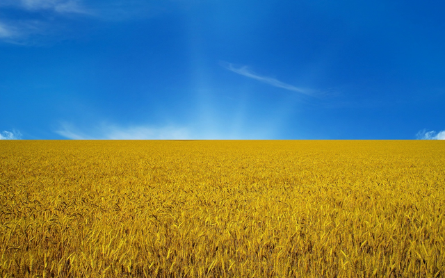 В Украине выросли объемы аграрного экспорта