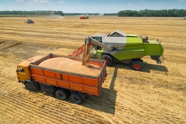 Очікуються інвестиції ЄІБ в зерновий бізнес України 