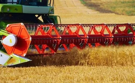 Strategie Grains начинает снижать прогнозы производства зерна в ЕС в 2017г.