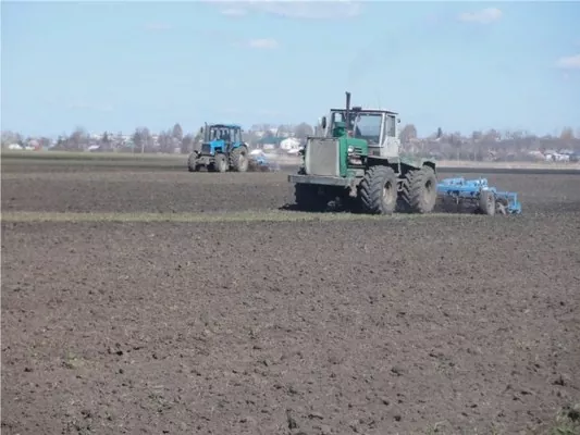 В Украине завершился сев яровых зерновых