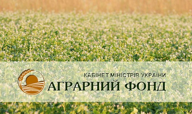 Кабмин утвердил финансовый план Аграрного фонда на 2017 г.