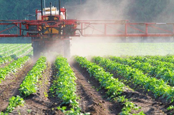 Пестициди замінять сучасними біопрепаратами - думка