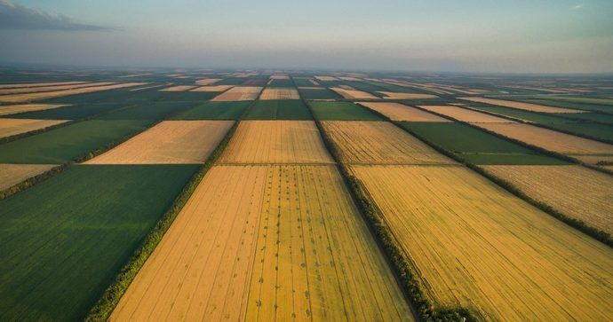 Закон про ринок землі дозволить фермерам викупити землю з розстрочкою на 5 років