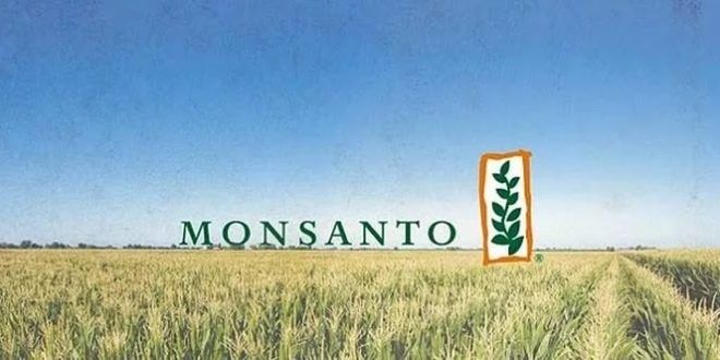 Monsanto в 2018 г. откроет семенной завод в Житомирской области