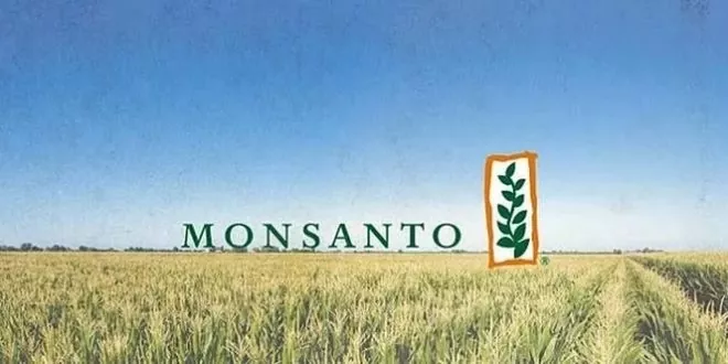 Monsanto в 2018 г. откроет семенной завод в Житомирской области