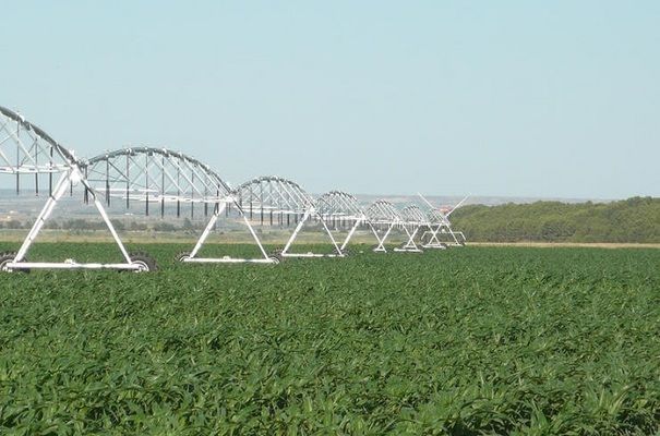 Земля буде найдорожчою у трьох областях, -  Потураєв