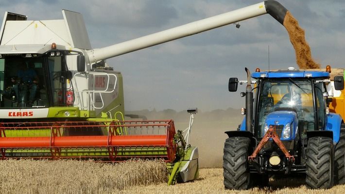 Україна збільшила експорт зернових майже в три рази