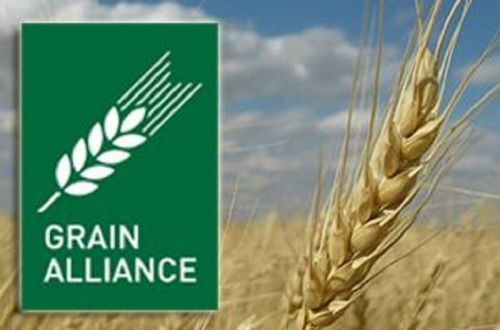 Барышевская зерновая компания осенью 2017 года запустит новый элеватор