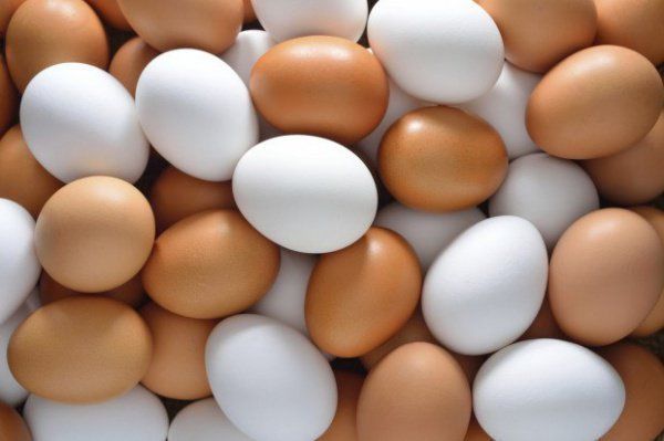 Украина сможет экспортировать яйца в Японию
