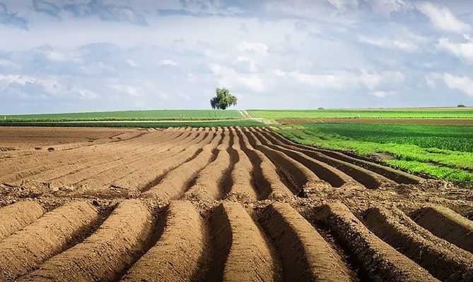 Асоціація аграріїв України просить внести зміни до законодавства про ринок землі