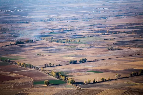 Іноземці мали намір викупити не більше 15% орендованих земель