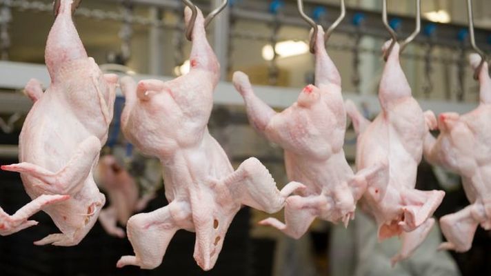 В Украине снижаются цены на курятину