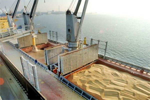 Уменьшились объемы экспорта пшеницы морскими портами