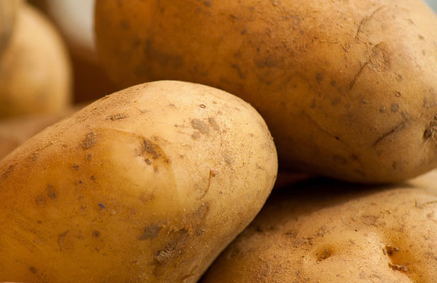 Украина продолжает закупку импортного картофеля