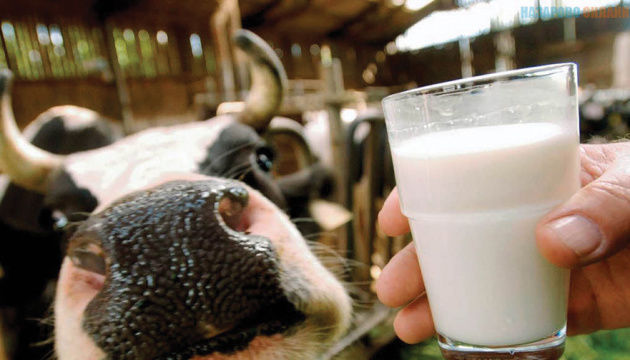 В Украине существенно выросла прибыль от производства молока