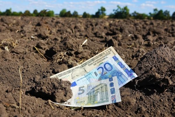 Потреба у коштах на викуп землі - серед основних аграрних викликів у 2020 році