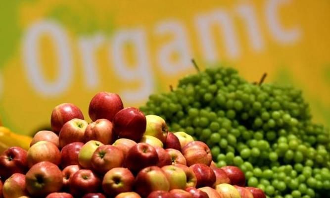 В Україні діють реєстри органічної продукції