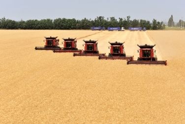  Збирання ранніх зернових розпочато в 5 областях