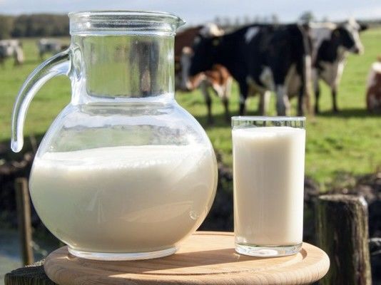 Промислові підприємства у січні майже не скоротили виробництво молока