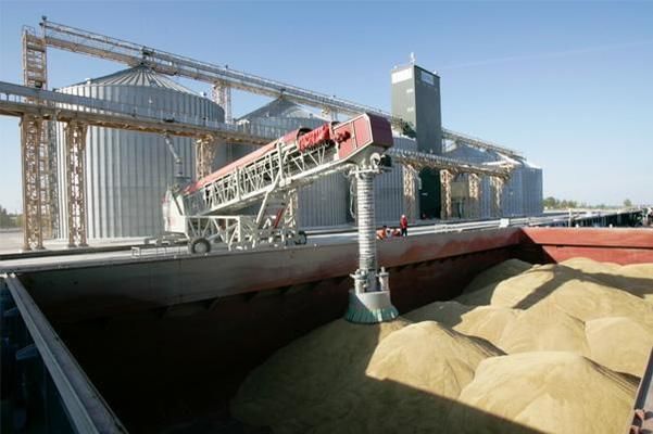 В українських портах збільшилося відвантаження зернових