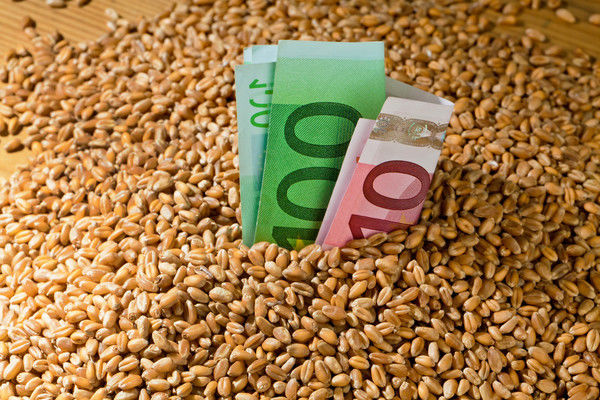 На экспорт ушло почти 40 млн тонн украинского зерна