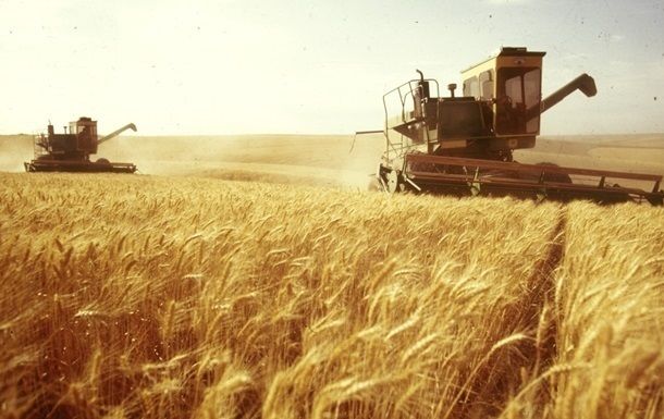 В новом сезоне в Украине соберут  65-70 млн тонн зерна, - прогноз