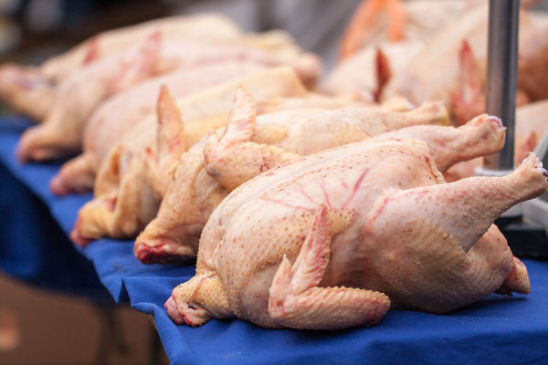В МХП сподіваються, що експорт курятини до Євросоюзу відновиться