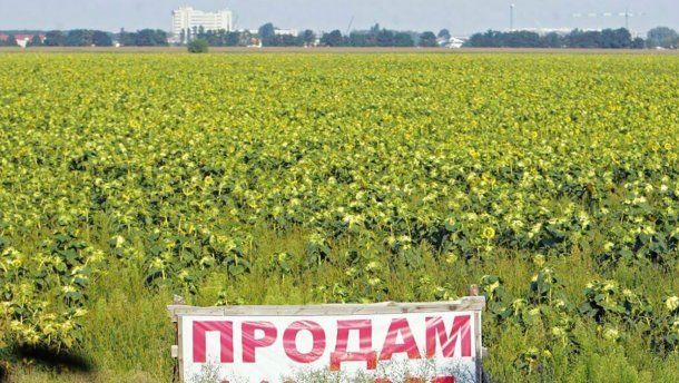 Референдуму про ринок землі прагне більшість українців 
