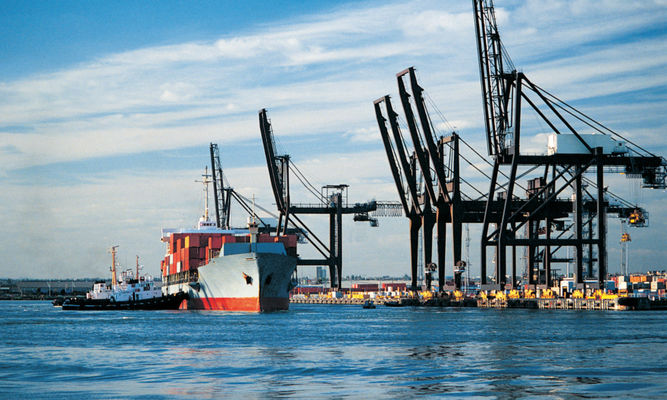 За неделю в морских портах существенно увеличился экспорт пшеницы 