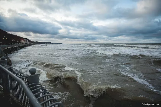 Украинская кукуруза пойдет на экспорт через Балтийское море